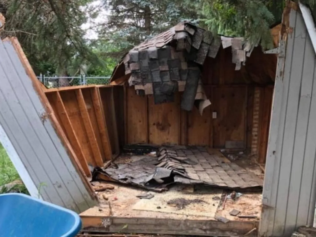 Shed Removal in San Diego by Haul Away Any Day